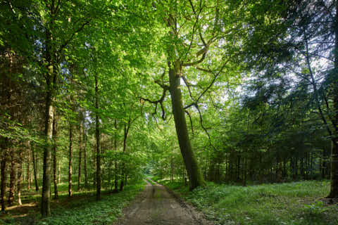 Gemeinde Töging Landkreis Altötting Engfurt Enfurter Kreuzweg (Dirschl Johann) Deutschland AÖ